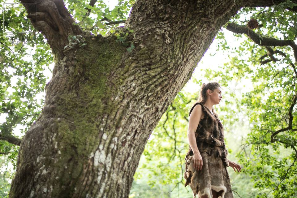 Back to the Trees !
